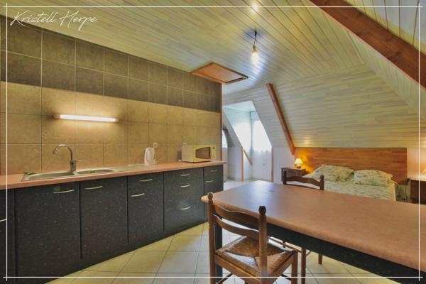 Dpt Finistère (29), à vendre CARHAIX PLOUGUER maison P9 de 232 m² - Terrain de 2133 m²