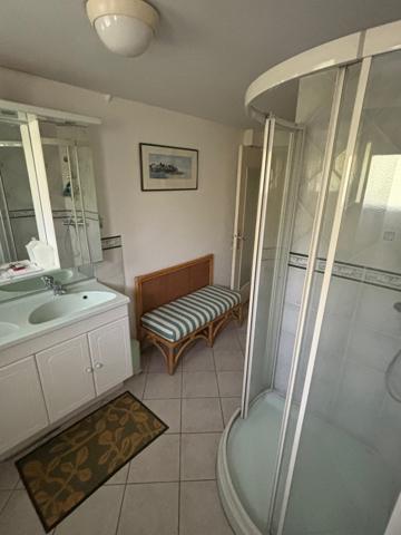 Mérignac (33700) MAISON PARC FEAU AU COEUR DE LA VERDURE