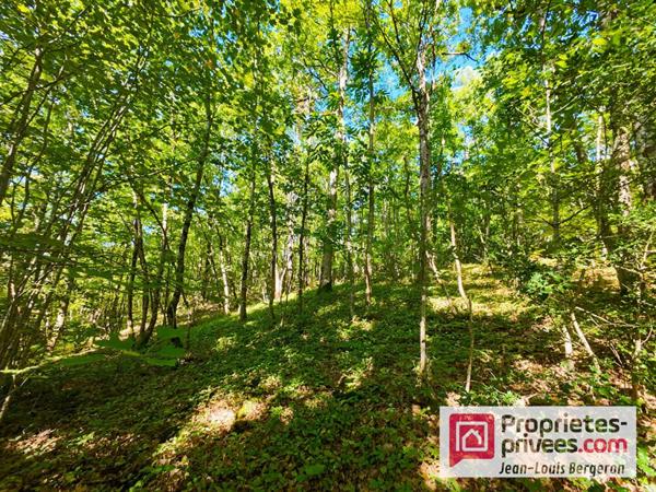 Maison de caractère avec bois et caves troglodytes