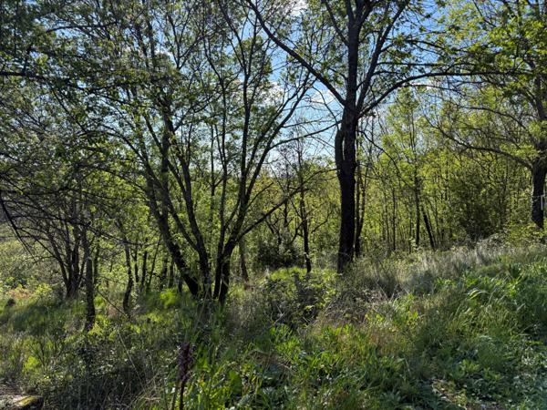 Le Puech (34700) Terrain constructible exceptionnel au Puech (34700)