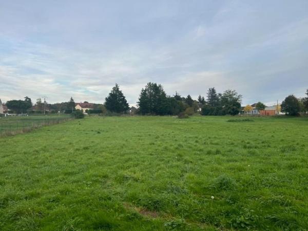 TRES BEAU TERRAIN SUR BORD DE CREUSE