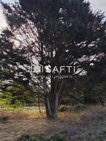 TRES BEAU TERRAIN SUR BORD DE CREUSE