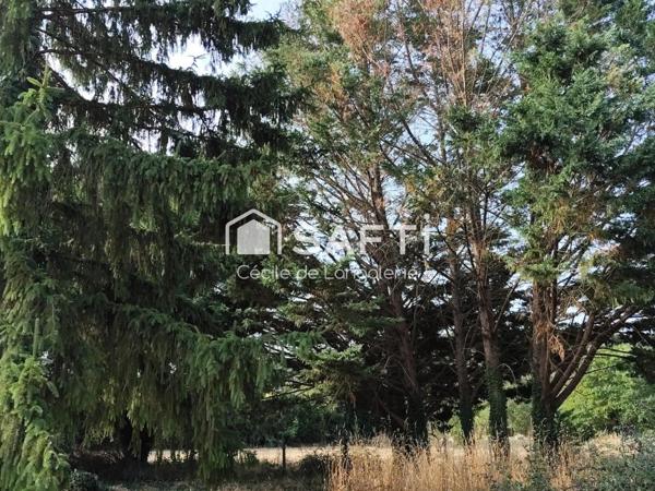 TRES BEAU TERRAIN SUR BORD DE CREUSE