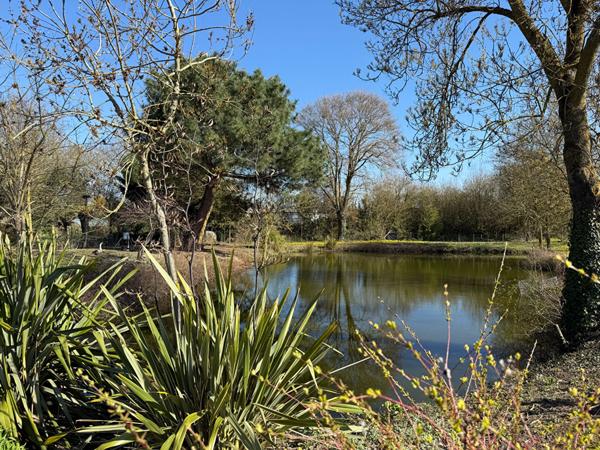 LONGERE 5 MIN ANGERS