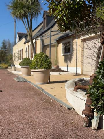 LONGERE 5 MIN ANGERS