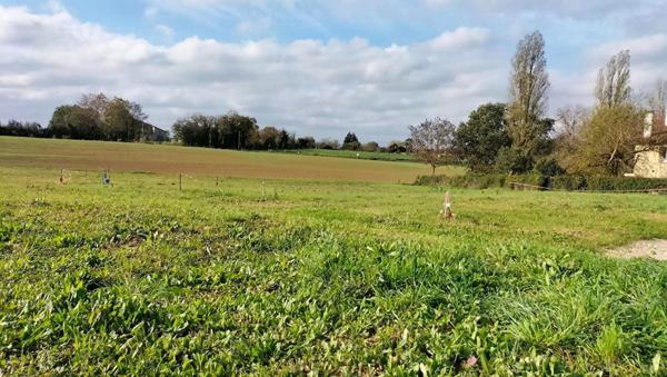 Terrain 1989m² Fleurance (32500) 843m² constructible