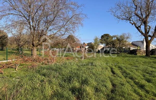 ETAULES CENTRE BELLE PARCELLE DE TERRAIN 882 M2