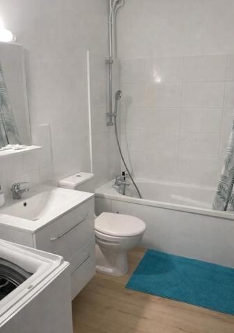 BORDEAUX GUSTAVE EIFFEL : APPARTEMENT T2 AVEC CAVE