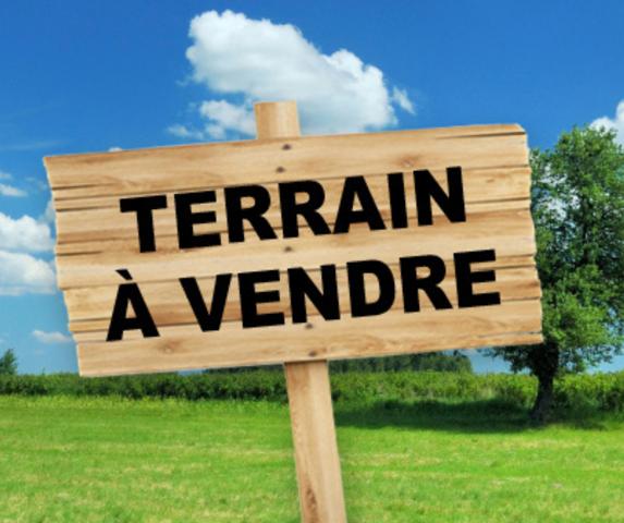 Achat terrain Brétigny-sur-Orge - 343 m² - 149 000 €