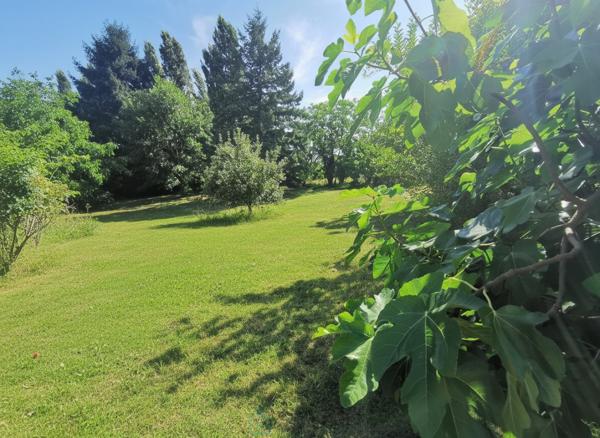 Belle propriété ancienne sur les hauteurs d'Amboise