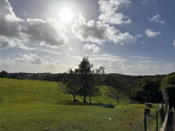 Achat - Terrain à bâtir Muzillac 56190 1000 m 2