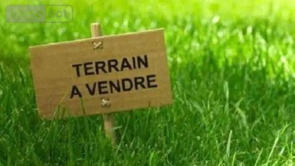 Achat - Terrain à bâtir Muzillac 56190 1000 m 2