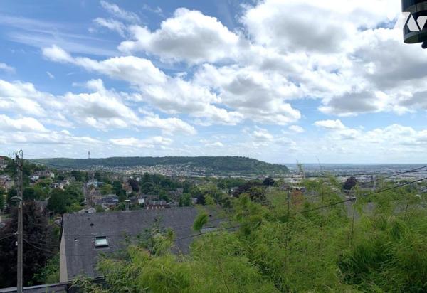 Rouen – Quartier Jouvenet : Maison ancienne avec extension bois et jardin sans vis-à-vis
