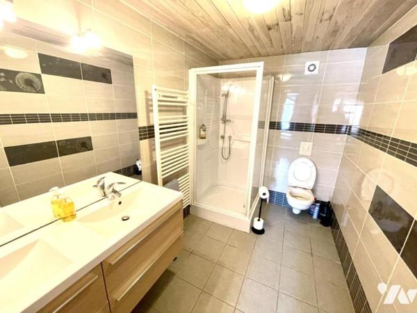 A VENDRE GITE, CHAMBRES D'HOTES ET MAISON A LAJO 48120