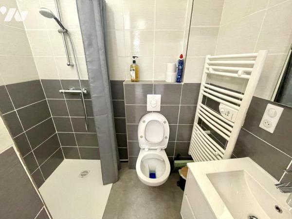 A VENDRE GITE, CHAMBRES D'HOTES ET MAISON A LAJO 48120