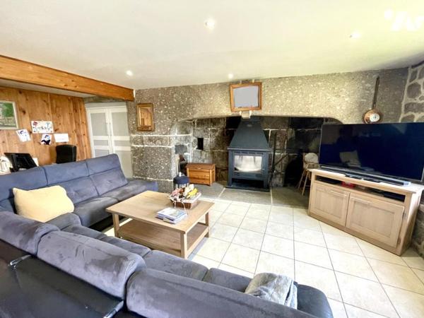 A VENDRE GITE, CHAMBRES D'HOTES ET MAISON A LAJO 48120