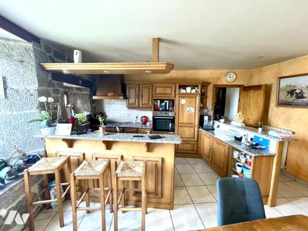 A VENDRE GITE, CHAMBRES D'HOTES ET MAISON A LAJO 48120