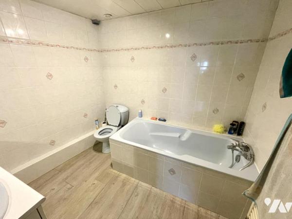 A VENDRE GITE, CHAMBRES D'HOTES ET MAISON A LAJO 48120