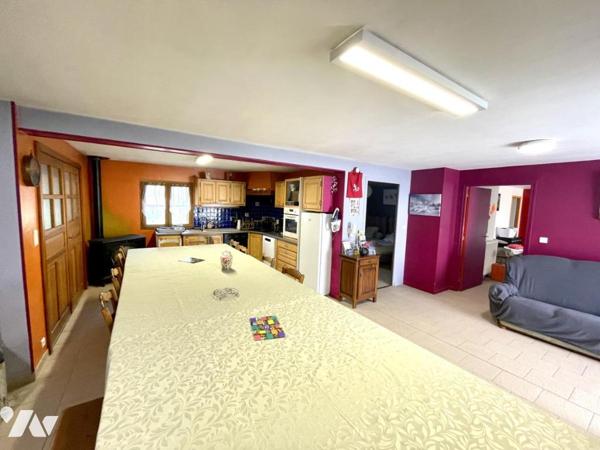 A VENDRE GITE, CHAMBRES D'HOTES ET MAISON A LAJO 48120