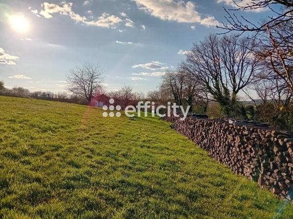 Terrain - 1649 m² Exclusivité efficity