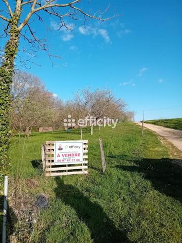 Terrain - 1649 m² Exclusivité efficity