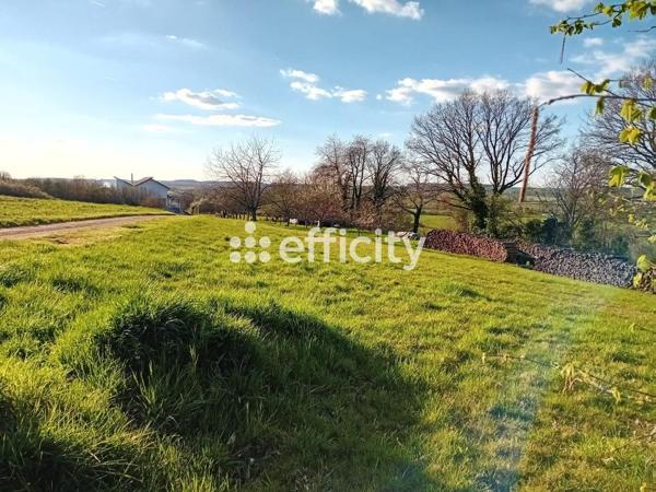 Terrain - 1649 m² Exclusivité efficity