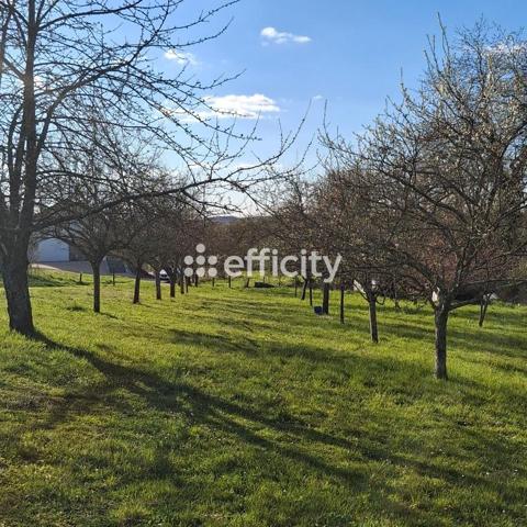 Terrain - 1649 m² Exclusivité efficity