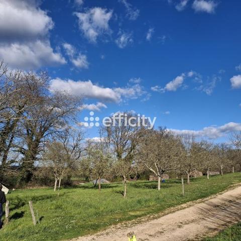 Terrain - 1649 m² Exclusivité efficity