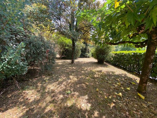 Idéal primo-accédant ou investissement locatif