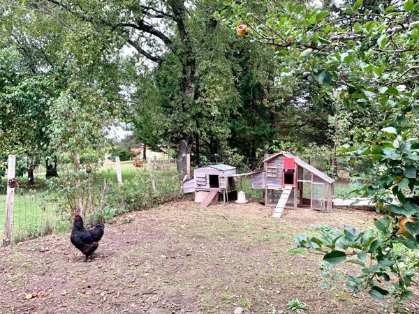 Maison périgourdine à vendre avec piscine et verger – campagne proche ville