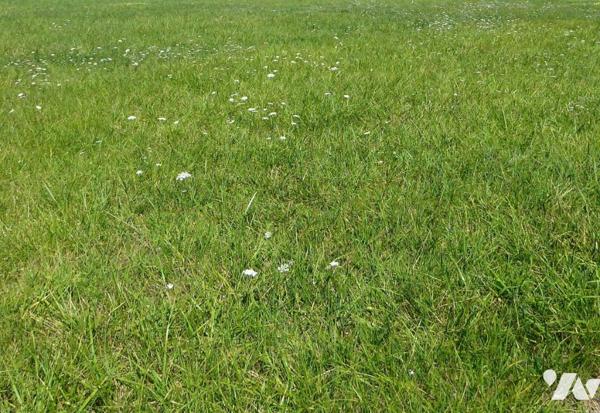 Terrain à bâtir à SARRIGNE