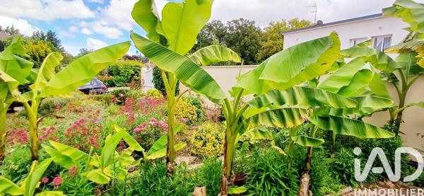 Maison à vendre 6 pièces 154 m² Marmagne