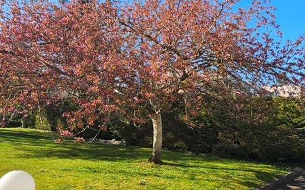 Appartement à vendre    3 pièces • 78,89 m2 Ahuy