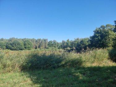 Terrain de loisirs - Bois - Etangs à vendre à Veilleins dans le Loir-et-Cher (41230), ref : 41036/3088 Campagne