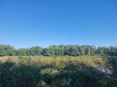 Terrain de loisirs - Bois - Etangs à vendre à Veilleins dans le Loir-et-Cher (41230), ref : 41036/3088 Campagne