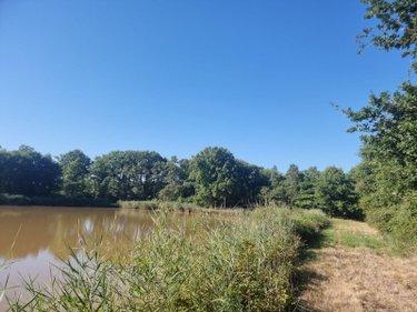 Terrain de loisirs - Bois - Etangs à vendre à Veilleins dans le Loir-et-Cher (41230), ref : 41036/3088 Campagne
