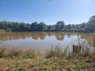 Terrain de loisirs - Bois - Etangs à vendre à Veilleins dans le Loir-et-Cher (41230), ref : 41036/3088 Campagne