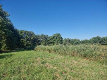 Terrain de loisirs - Bois - Etangs à vendre à Veilleins dans le Loir-et-Cher (41230), ref : 41036/3088 Campagne