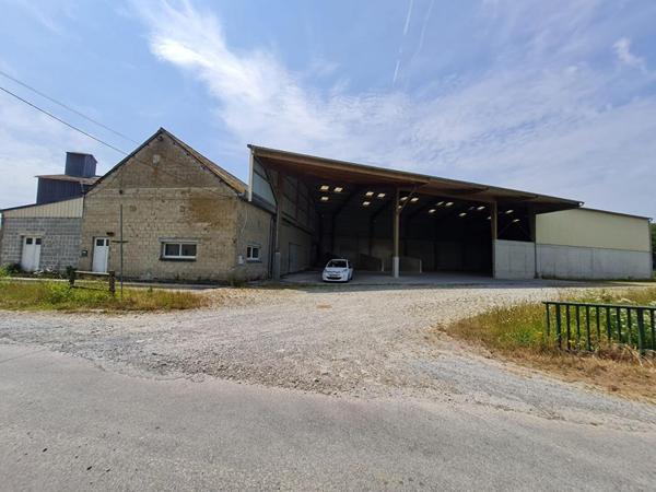 LA HAYE DU PUITS - ENTREPOT, LOCAL AGRICOLE AVEC BUREAUX 500 m²