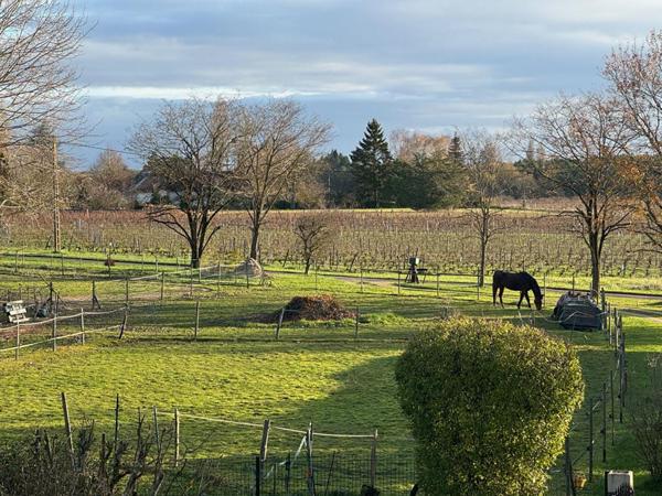 Propriété équestre Le Controis En Sologne 205 m2