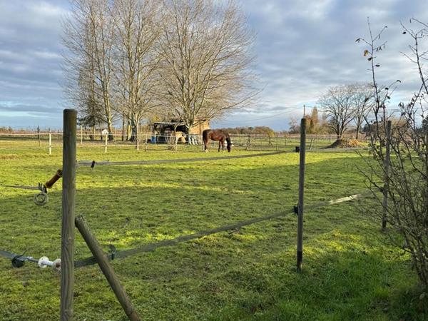 Propriété équestre Le Controis En Sologne 205 m2