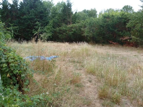 Vente Maison 3 pièces 53 m2 à Vierzon