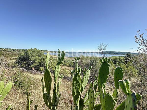 Grande propriété de 1.2 ha à rénover avec vue exceptionnelle sur l'étang, le village pittoresque de Bages et les Pyrénées Narbonne
