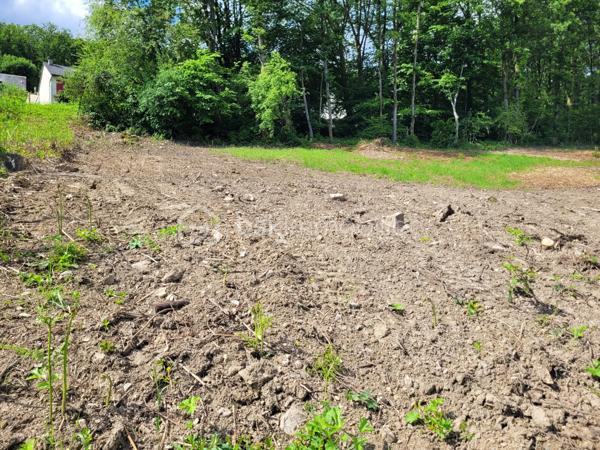 Terrain de 1 220 m²