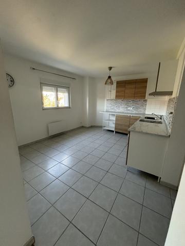 Grand studio 43m²