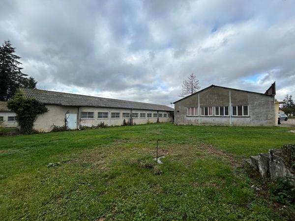 Local Commercial
        
        - 1895 m²