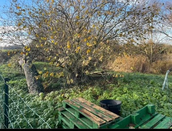 SUPERBE TERRAIN DE LOISIRS  AVEC ETANG DE PECHE