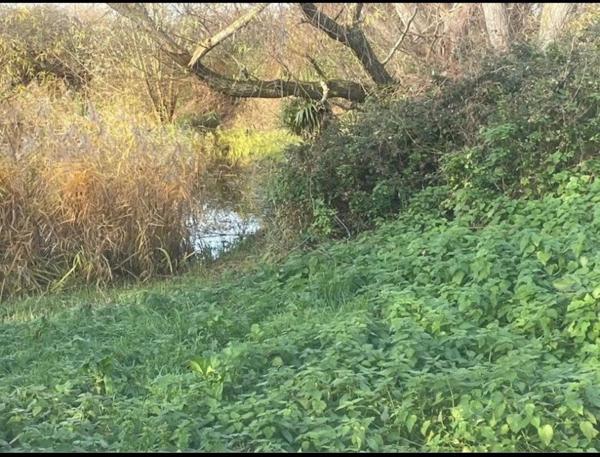 SUPERBE TERRAIN DE LOISIRS  AVEC ETANG DE PECHE