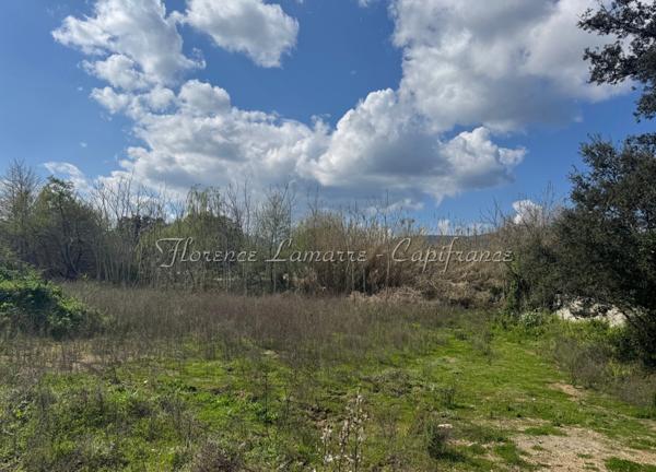 Terrain plat constructible à vendre à SPELONCATO (20)