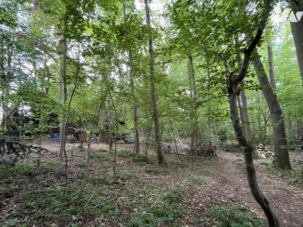 Maison individuelle à usage d'habitation édifiée sur sous-sol total